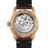 Seamaster 300 "Bronze Gold"